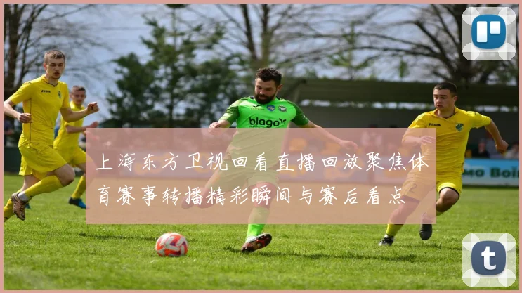 上海东方卫视回看直播回放聚焦体育赛事转播精彩瞬间与赛后看点